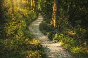 12 Signs You Lack Clarity