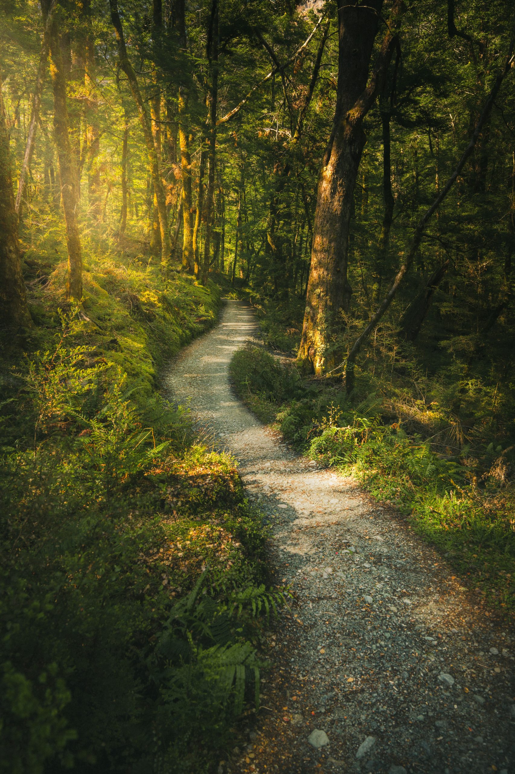 What Does It Really Mean to Think Purposefully?